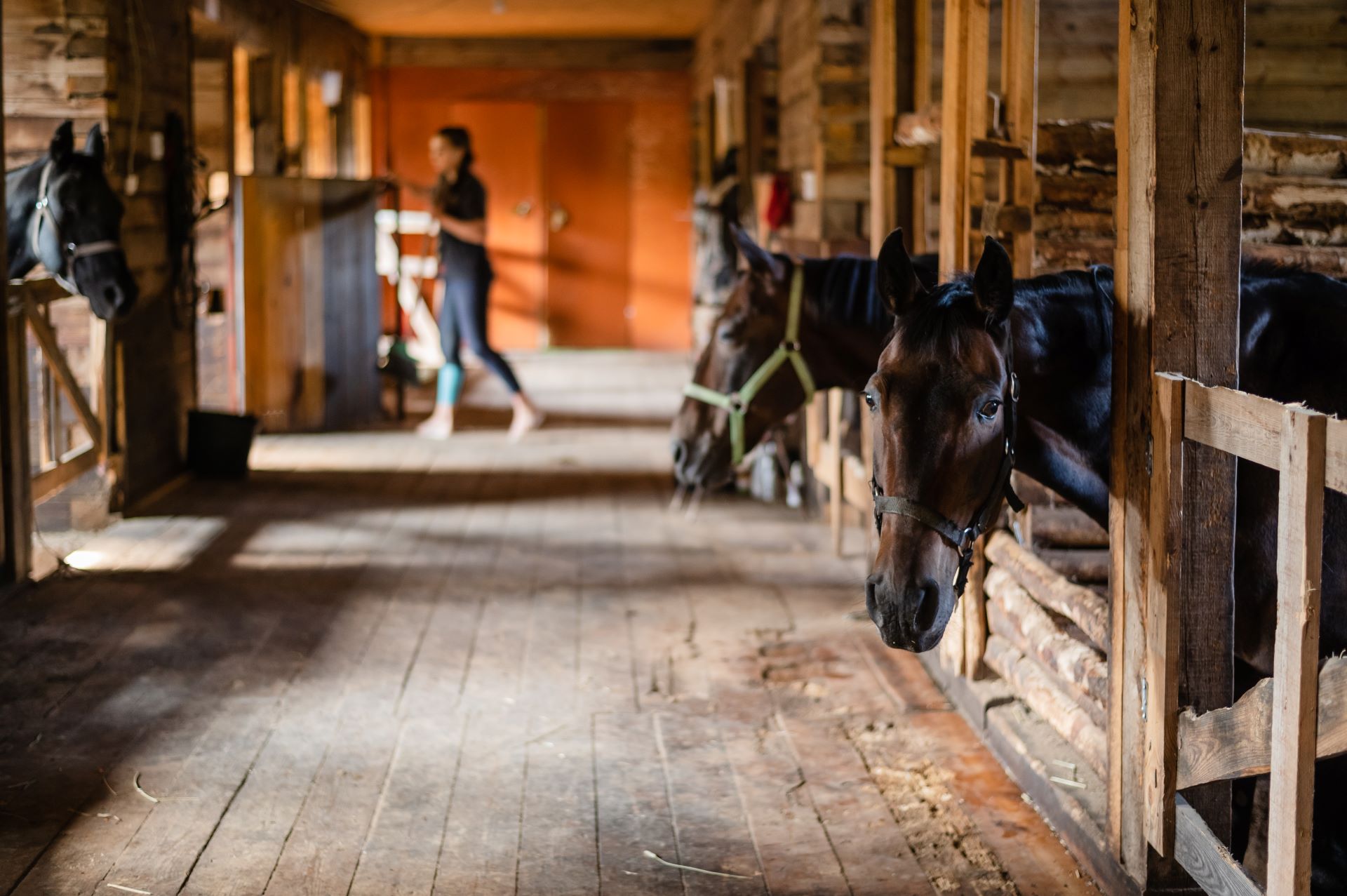StallEZ mats for horse stalls