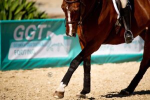 Reduce dust in your horse arena.
