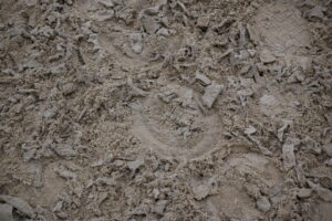 Seasonal affects on horse arena footing.