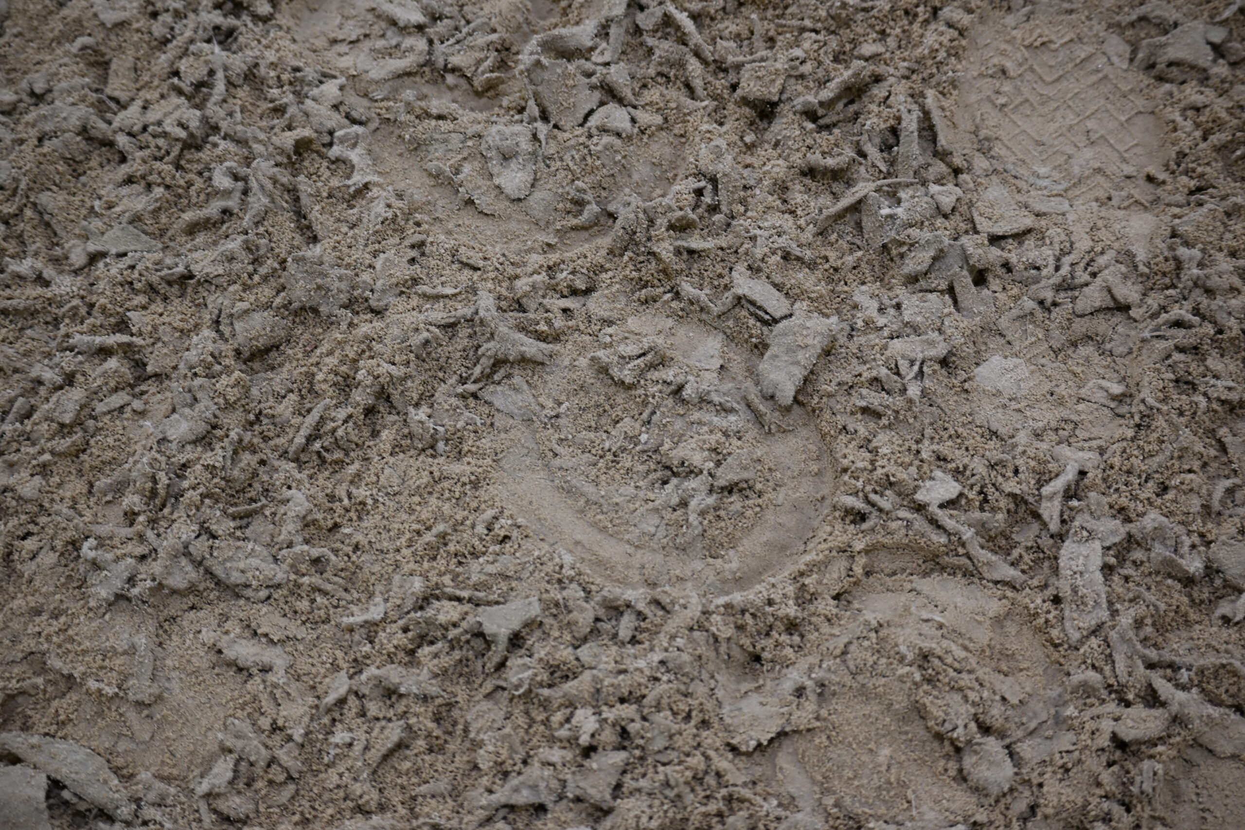 Seasonal affects on horse arena footing.