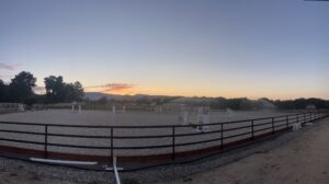 Creating luxury outdoor horse arenas with the right footing.