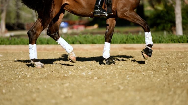 Evolution of horse arena footing.