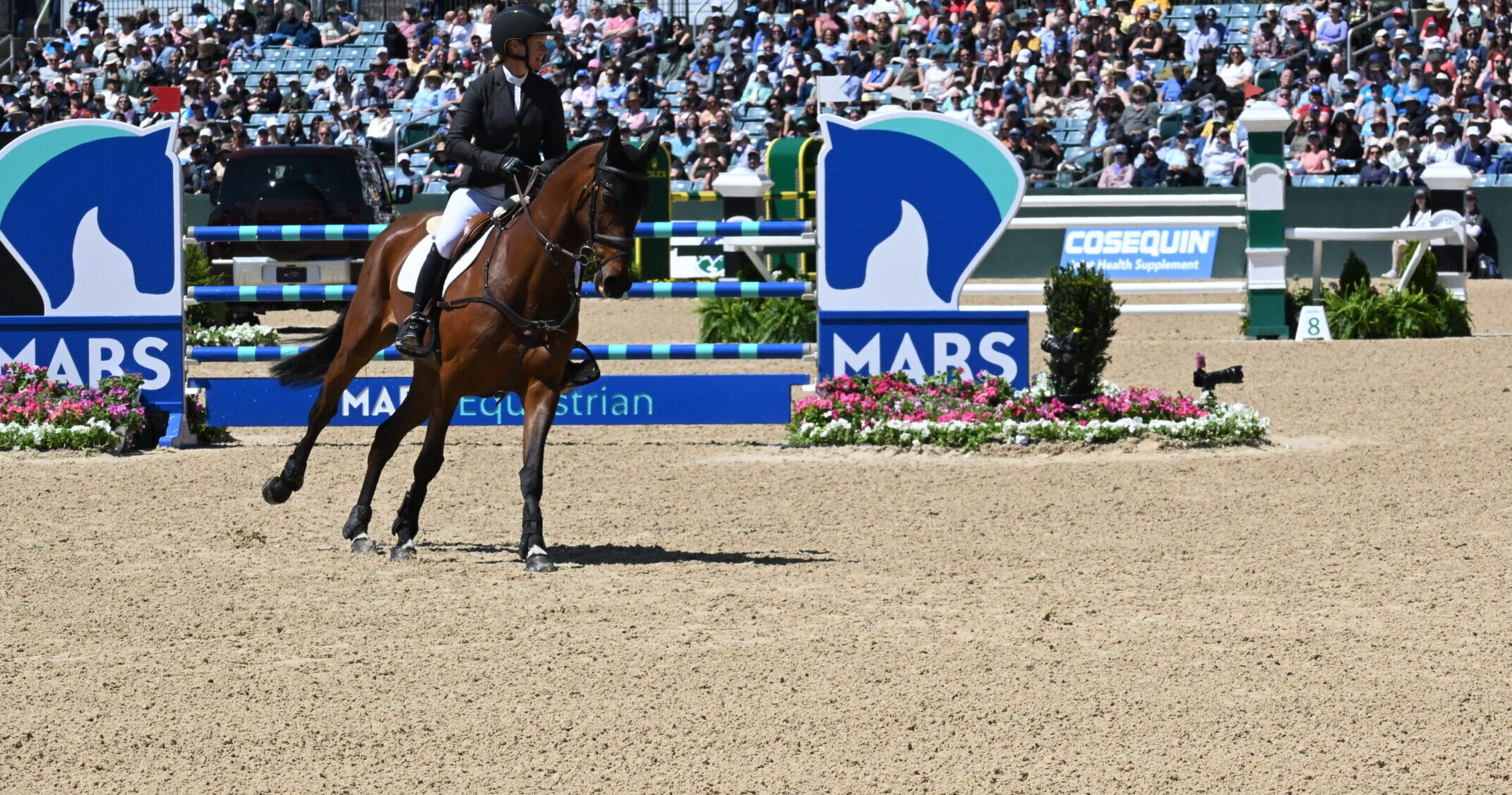 premium additives in horse arenas