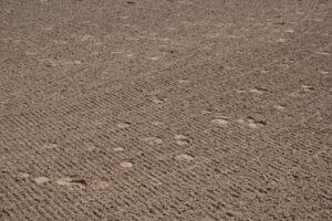 sustainable performance footing for horse arenas