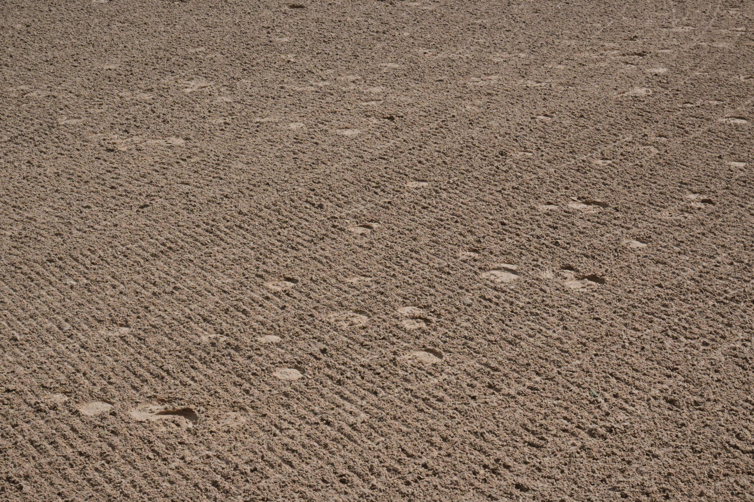 sustainable performance footing for horse arenas