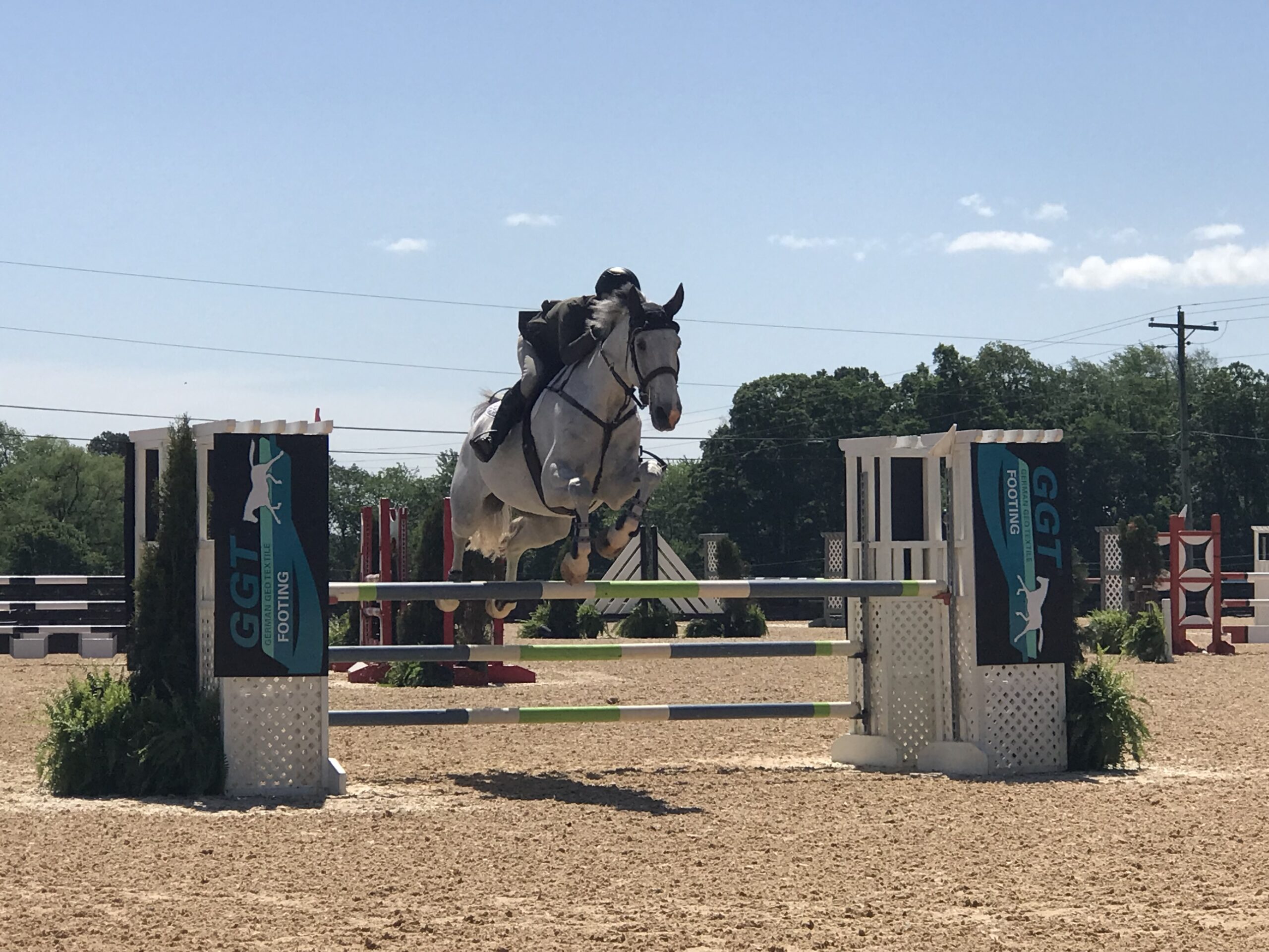 Jumper horse arena footing