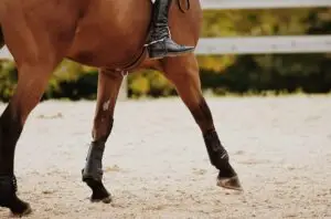 traction and cushion for horse arenas