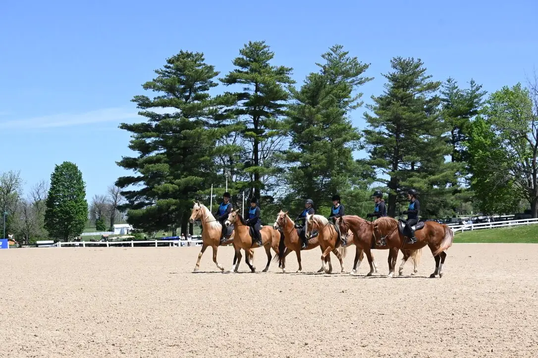 best footing for horse arenas