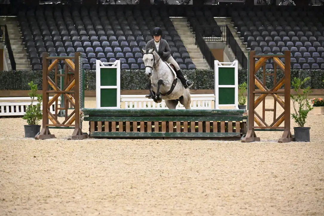 hunter jumper arena footing