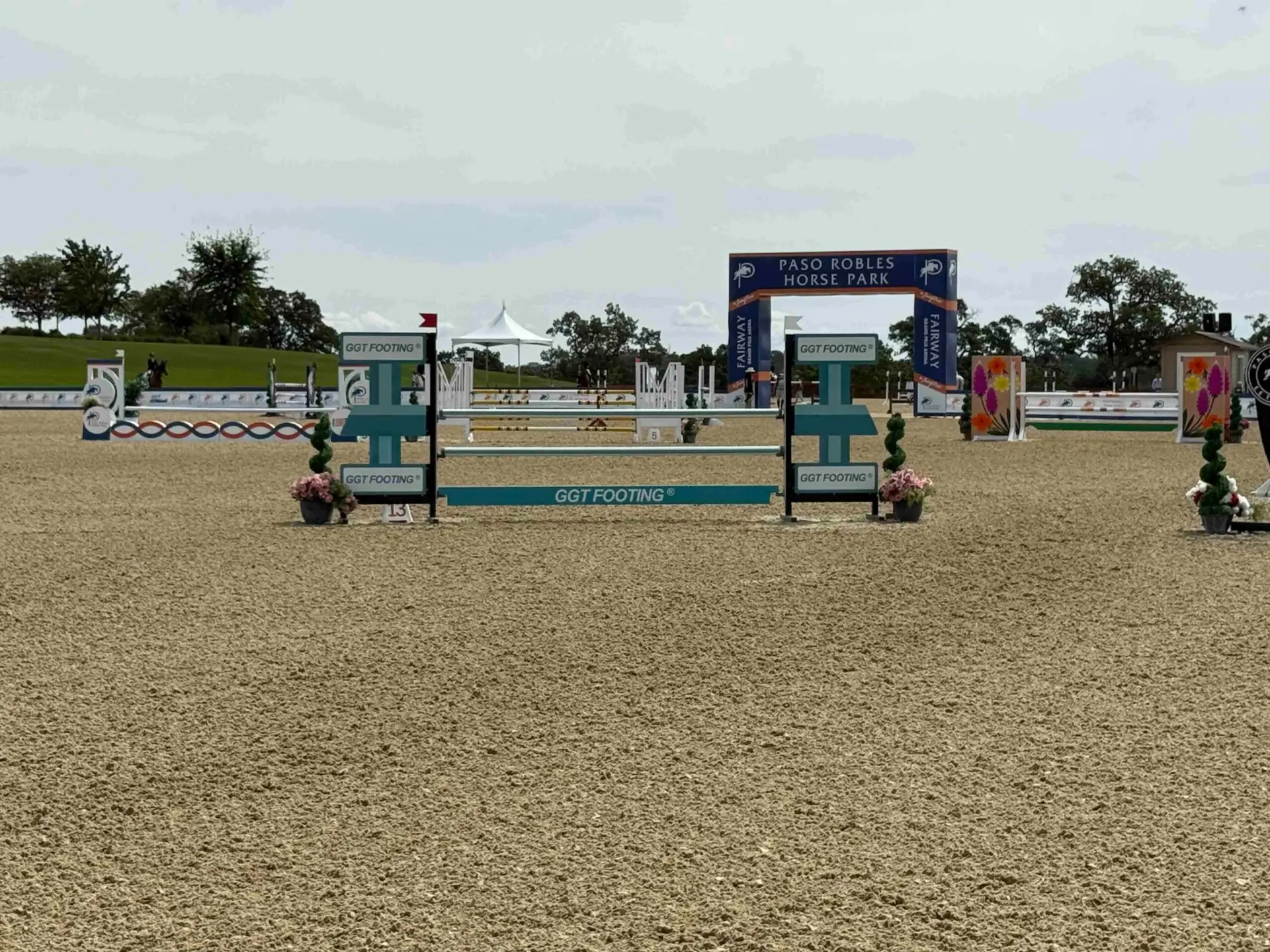 showjumping horse arena footing