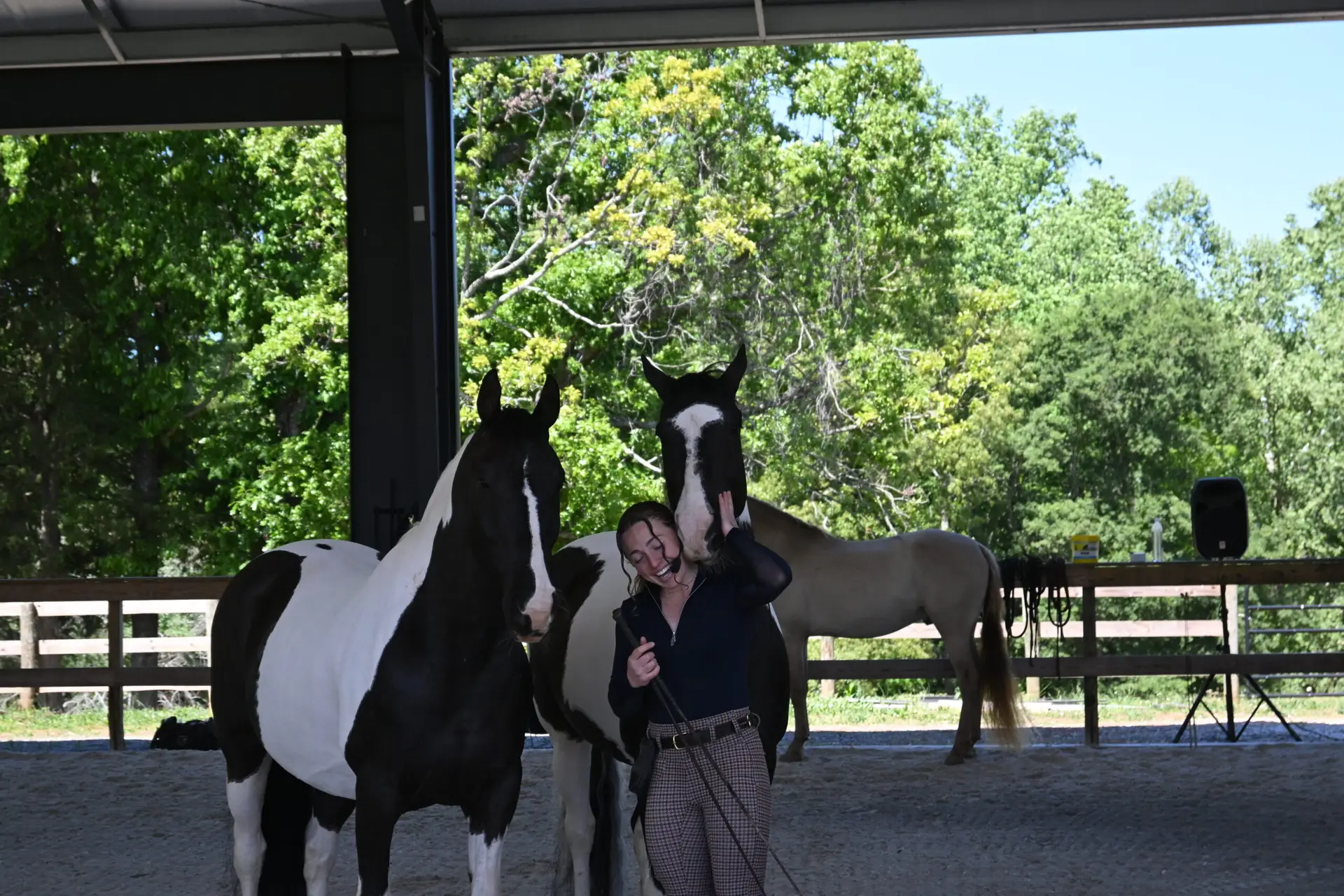 equestrian liberty work