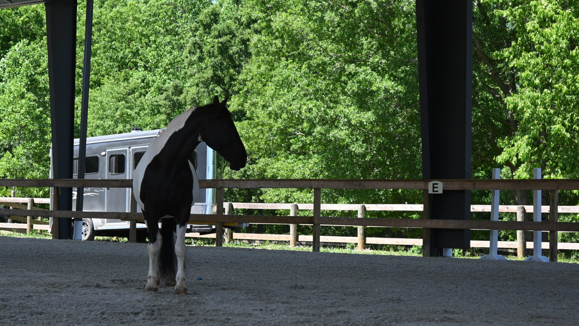 professional arena footing