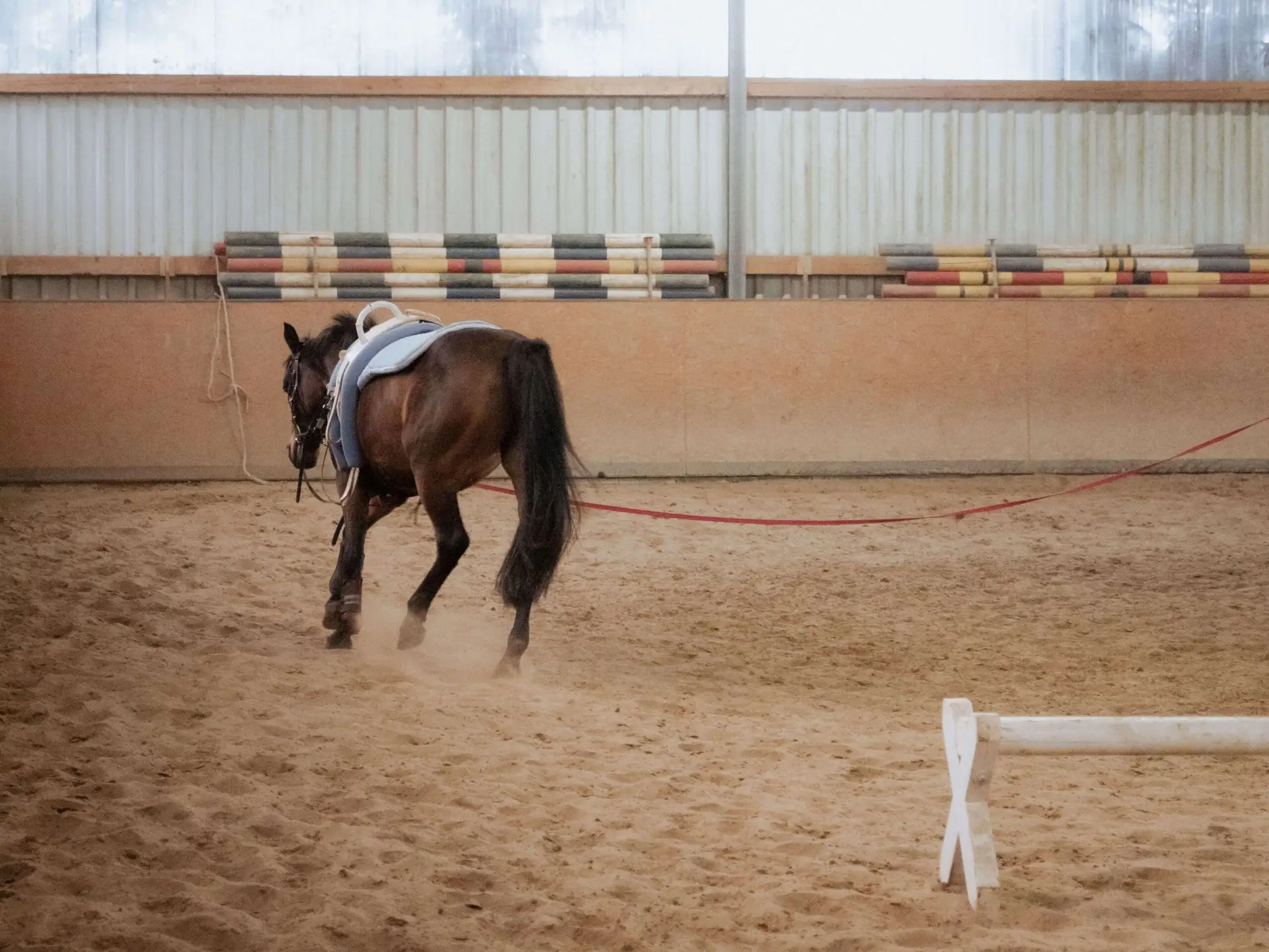 dust management in horse arena footing