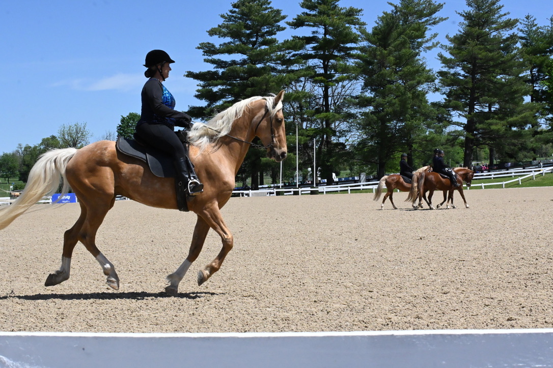high-traffic horse arena footing