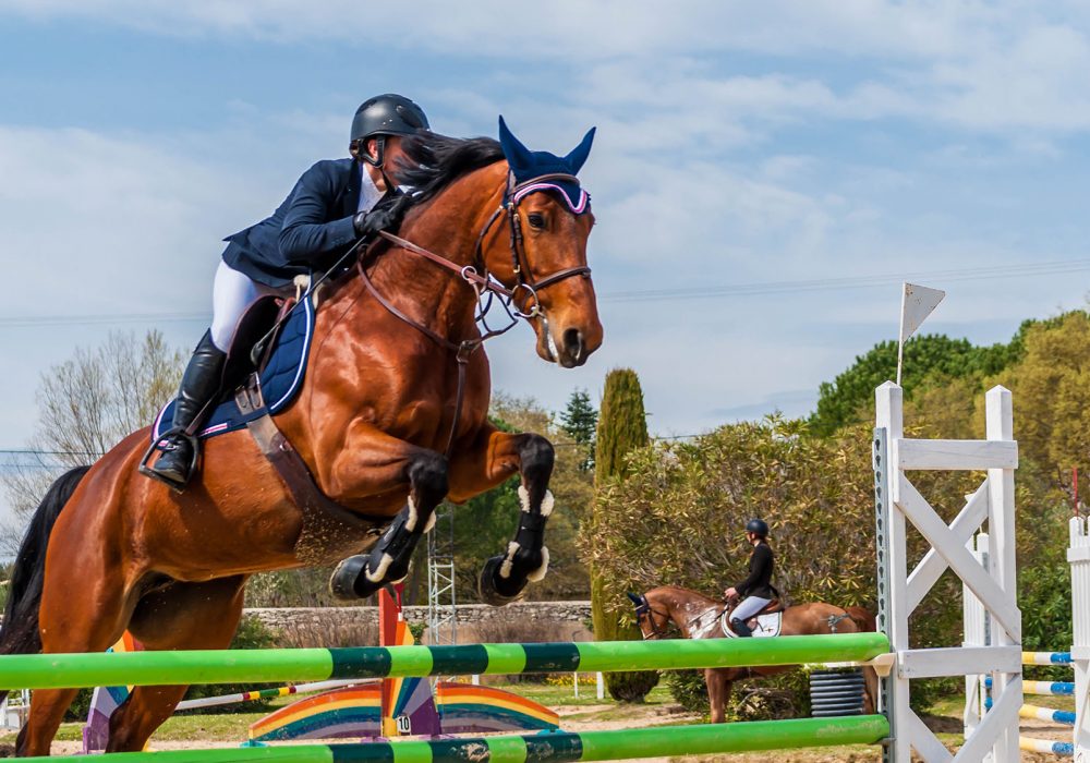 Show jumping competition on horseback.
