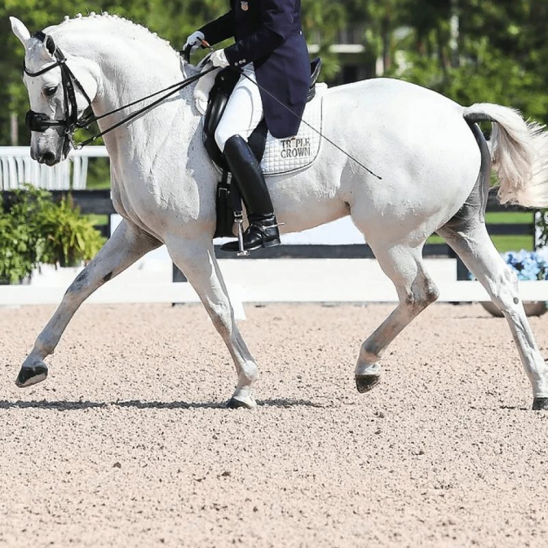 Dressage blend horse arena footing
