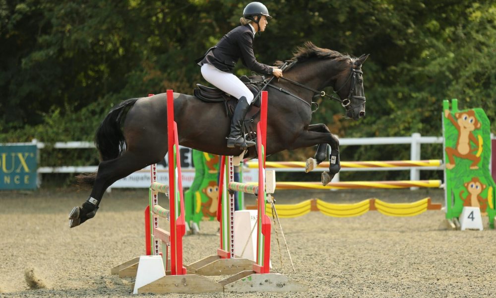 Horse arena footing for Jumping